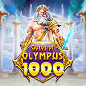 95vn Cổng Olympus 1000